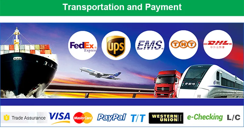 Shipping and Payment