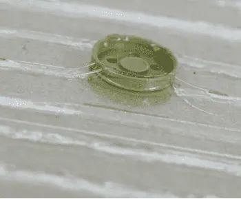 China Public Health pest control-Mouse paper trap Factory, Manufacturers