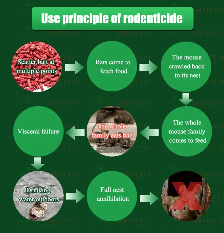 Mechanism of Action