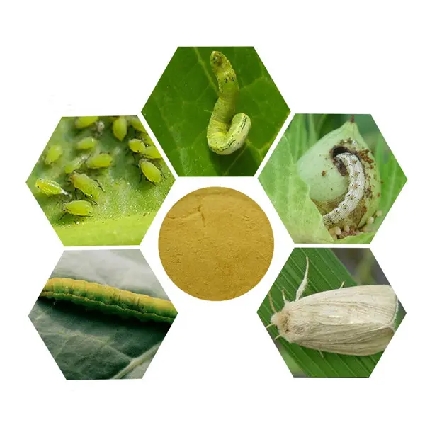 Wholesale Insecticide Bacillus thuringiensis(BT) 32000 IUmg WP 16000 IUmg WP 8000IUmg WP CAS 68038-71-1 Factory, Manufacturers