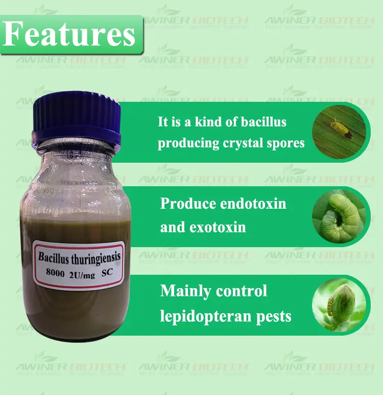 Bacillus thuringiensis