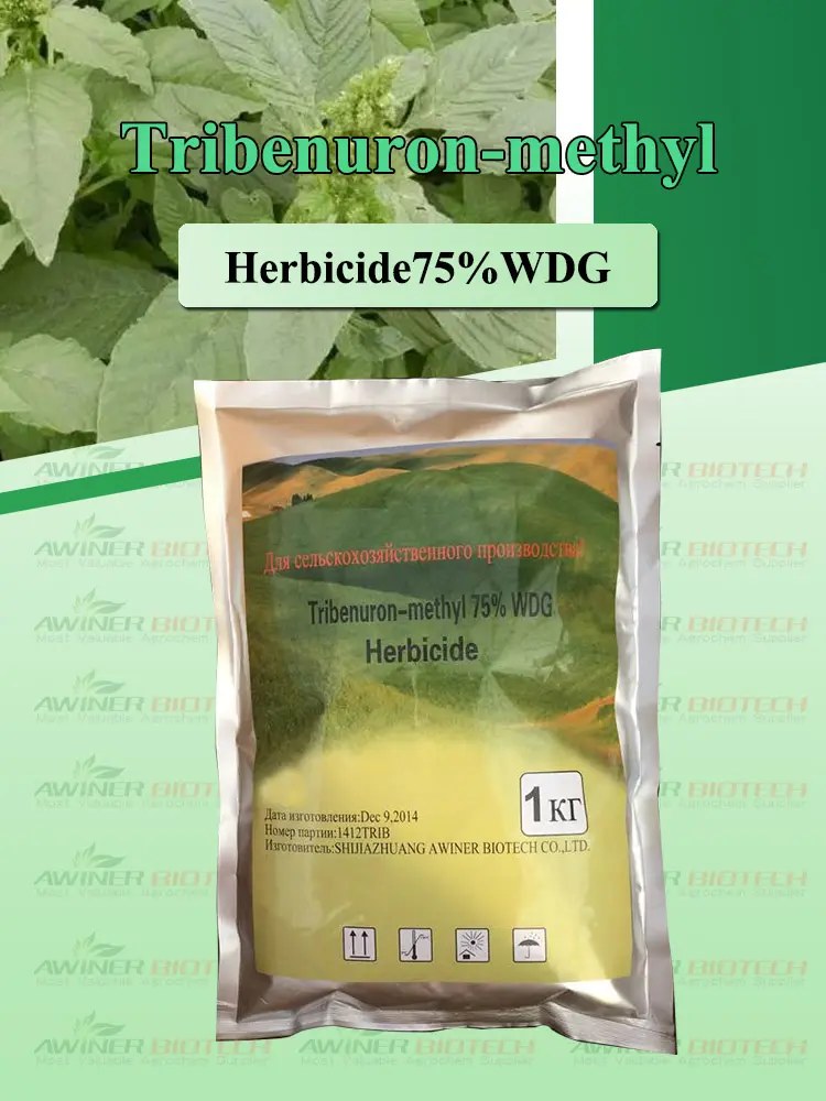tribenuron-methyl