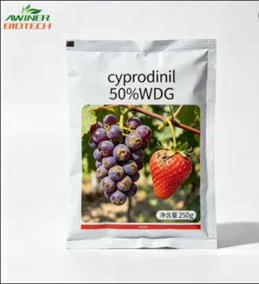 China Cyprodinil: Leading Fungicide against Botrytis Cinerea 50% WDG & 75% WDG Manufacturer, Manufacturers