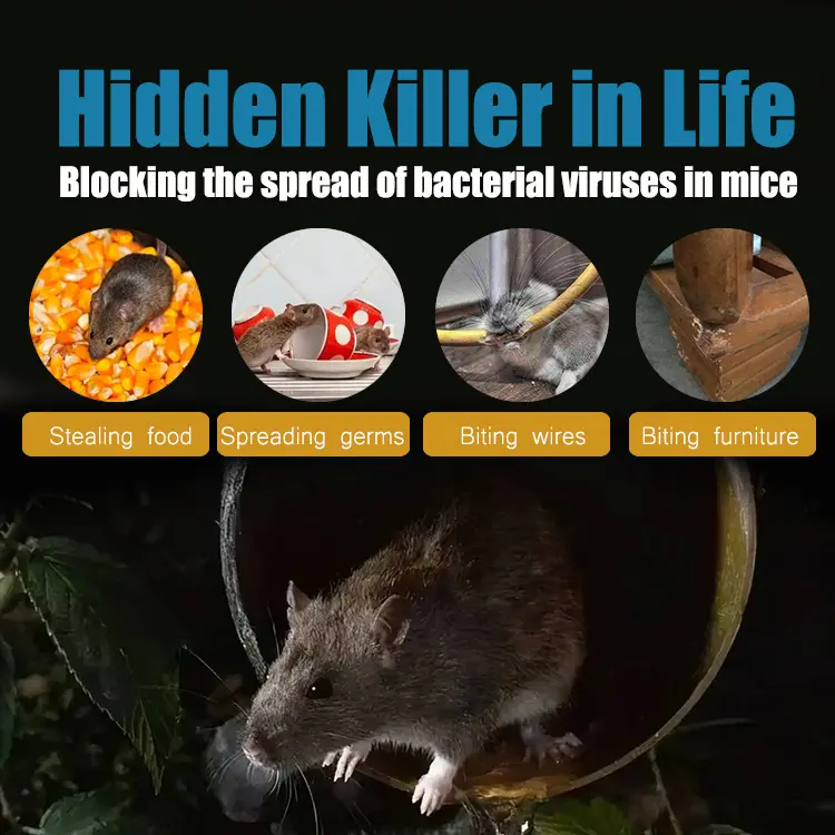 Invisible Killer Rodenticide