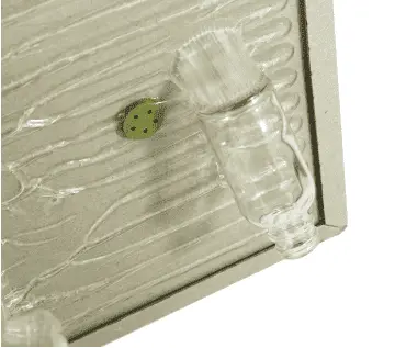 China Public Health pest control-Mouse paper trap Factory, Manufacturers
