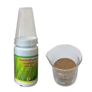 Bensulfuron methyl + Propisochlor