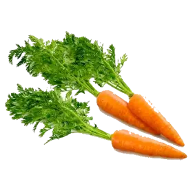 Crop Image 4