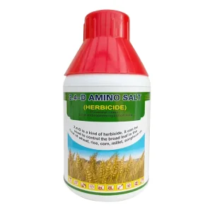 2,4-D Dimethyl Amine Salt
