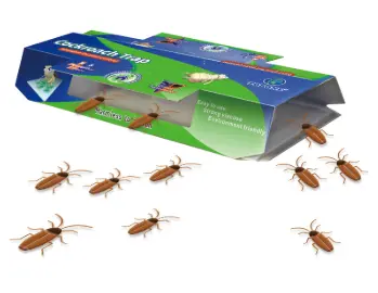 Wholesale Public Health pest control-Cockroach house CAS- Factories, Manufacturer