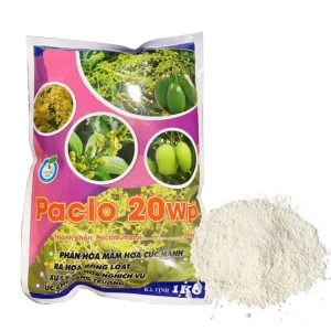 Paclobutrazol 20% WP Factory