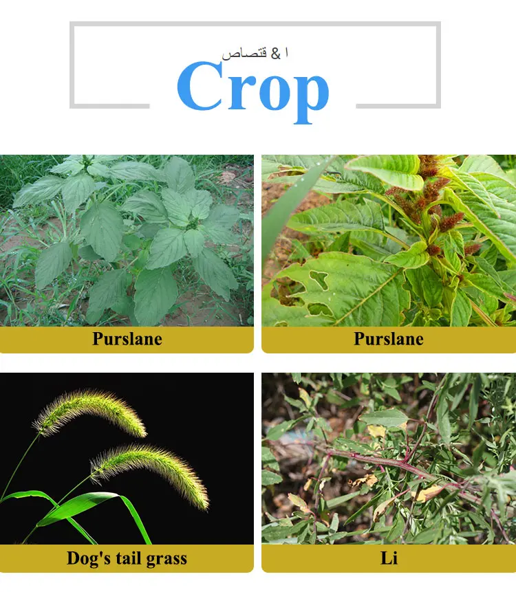 glyphosate480g