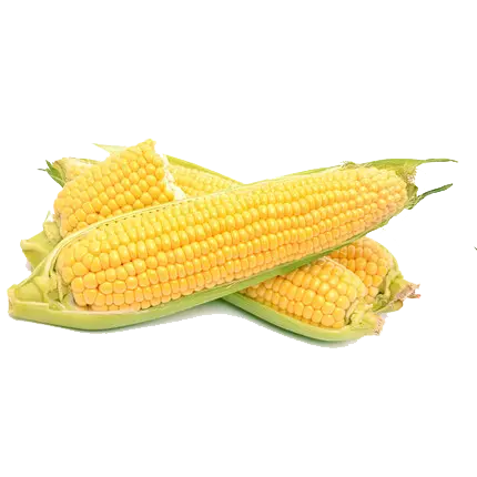 Crop Image 2
