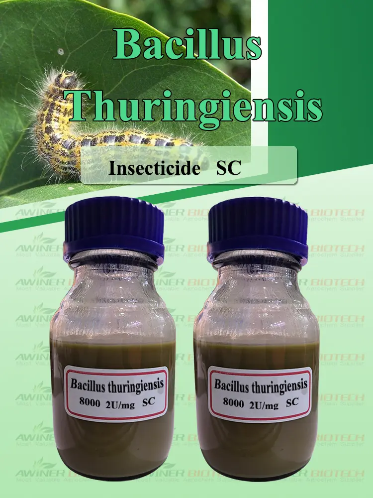 Bacillus thuringiensis