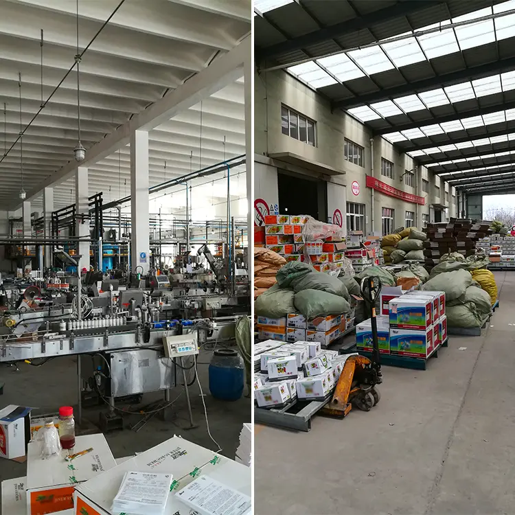 Wholesale Agriculture pesticide chemical nematodes suplyer china aluminium phosphide tablet fumigant 50% pymetrozine + 25 thiamethoxam DF Factory, Suppliers