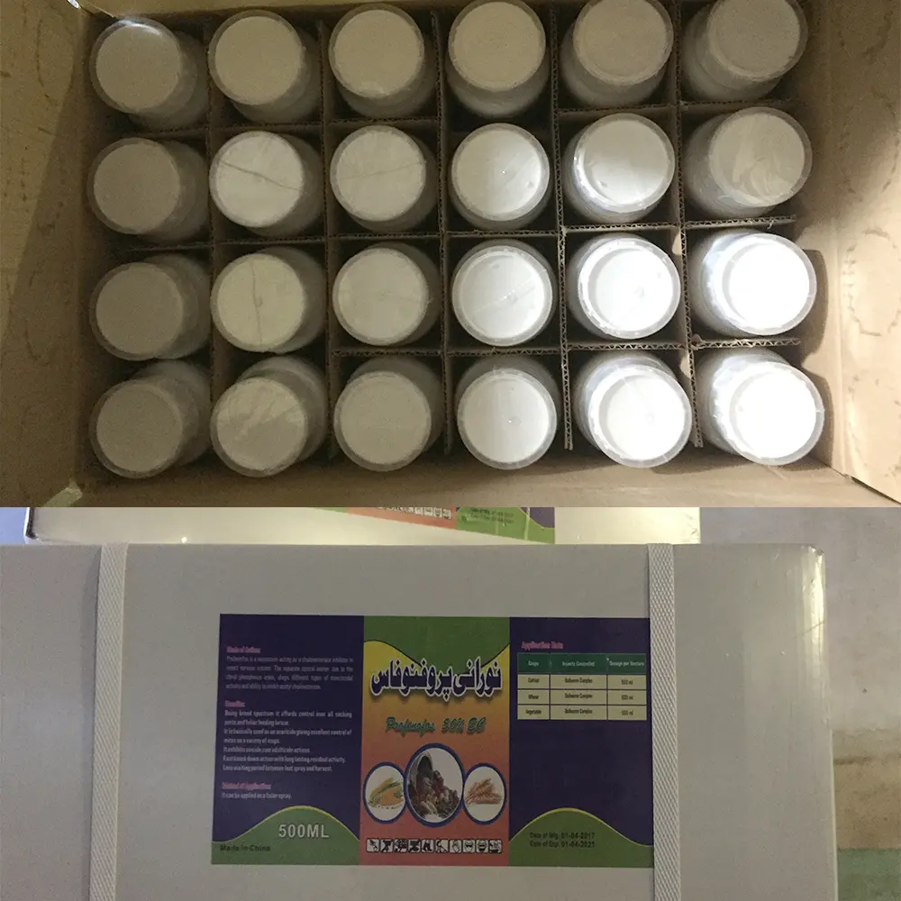Wholesale Acetamipride insecticide pour plante for corn acetamiprid 20 sp pesticides chemicals Factory, Manufacturers