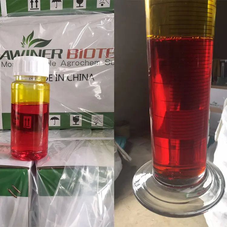 China GA3 Gibberellin 90% TC gibberellic acid plant growth regulator for pineple Supplier, Manufacturer