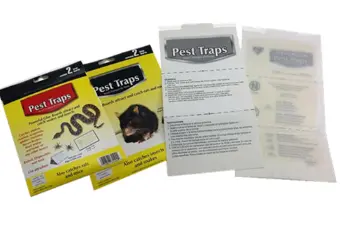 Wholesale Public Health pest control-Cockroach paper trap Factories, Manufacturer
