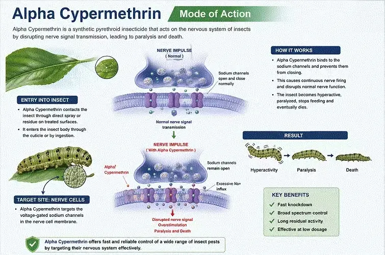 Alpha Cypermethrin Application