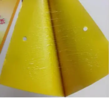 Wholesale Public Health pest control-Cockroach paper trap Factories, Manufacturer