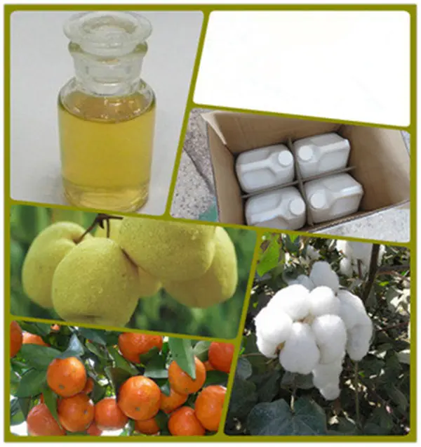 China Insecticide Bifenthrin 97% TC 40% SC 2.5%EC 25%SC 10%EC CAS 82657-04-3 Factory, Manufacturer