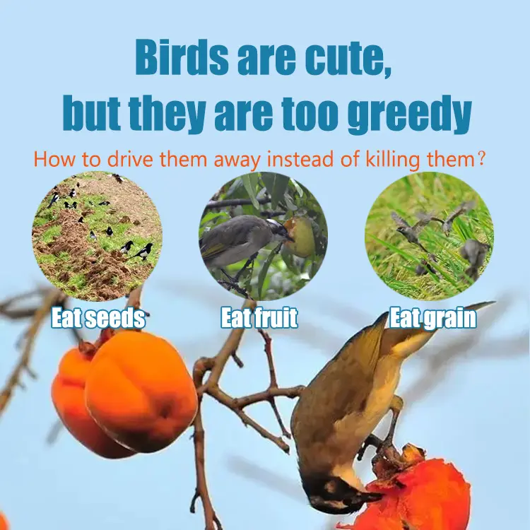 bird repellent