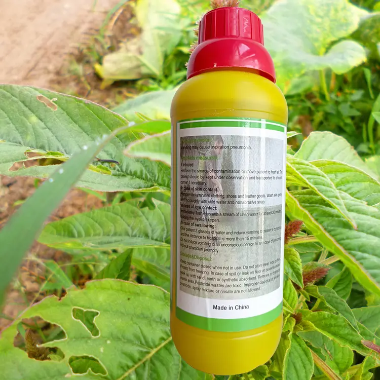 Wholesale Field Road Railway agricultural pesticides glyphosate herbicide 480sl Factory, Manufacturer