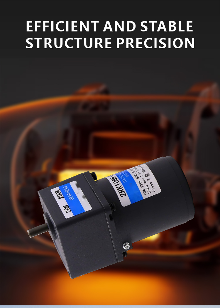 AC Gear Motor Image 4