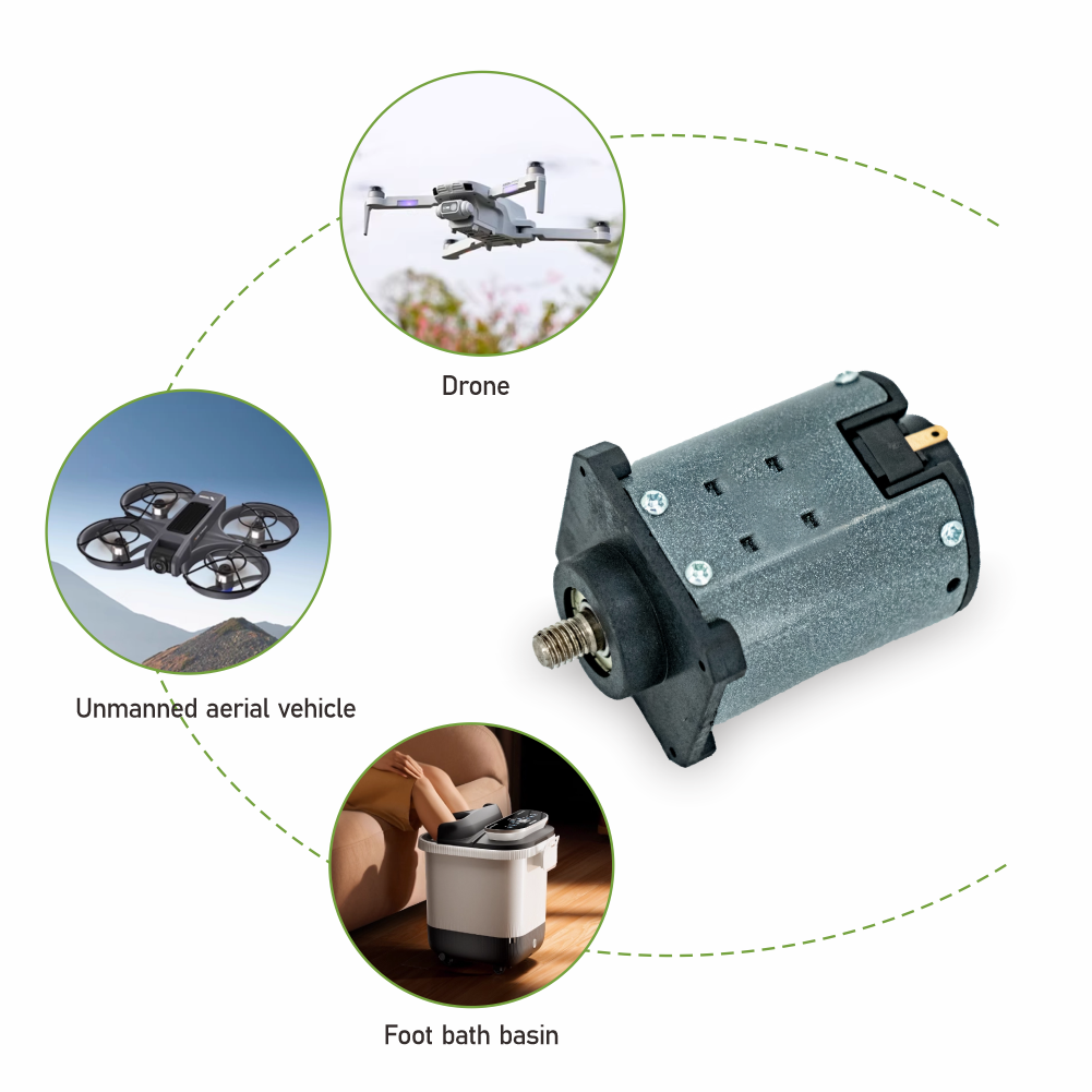 Compact Size High Quality 7.4v 110V 220V DC Brush Motor for Massage Equipment and Home Gadgets