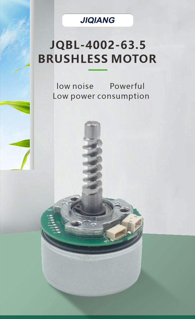 Brushless DC Motor Display 1