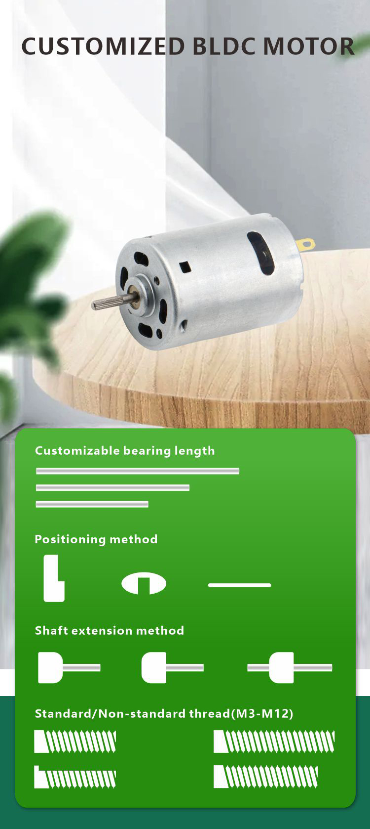 Motor Image 6