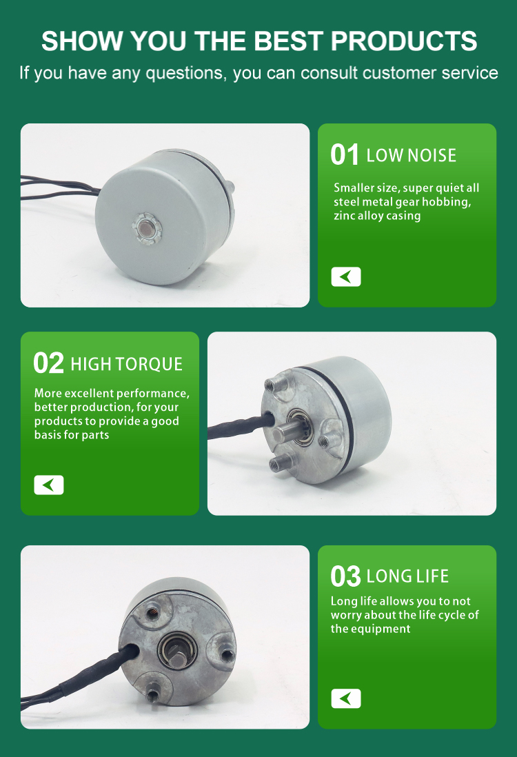 brushless dc motor details