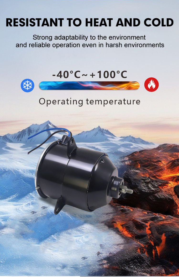 Solar Brush DC Motor Detail 5