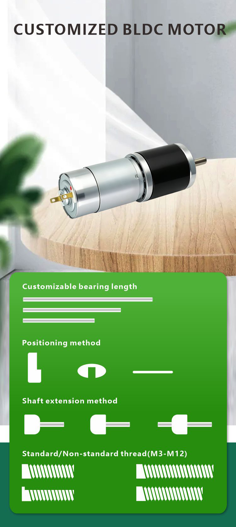 DC Planetary Gear Motor 7