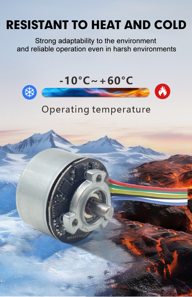 Brushless DC Motor JQBL-3902 View 5
