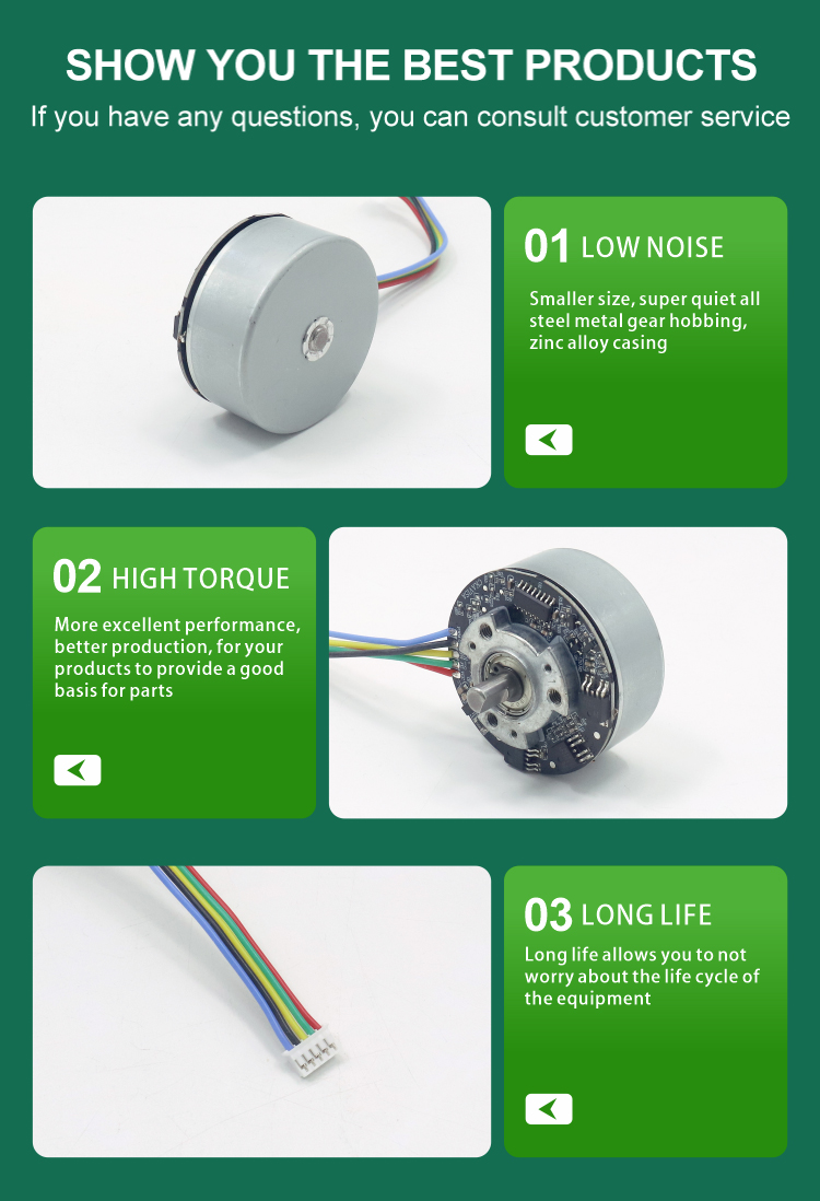 Brushless DC Motor View 7