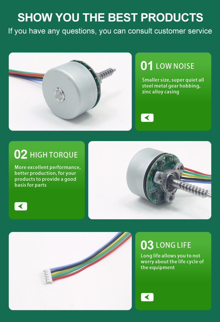 Brushless DC Motor Model JQBL-3503 View 7