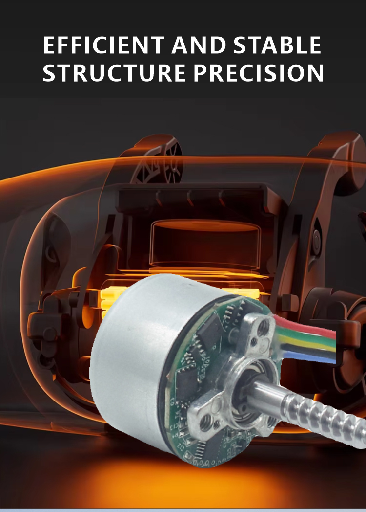 Brushless DC Motor Detail 4