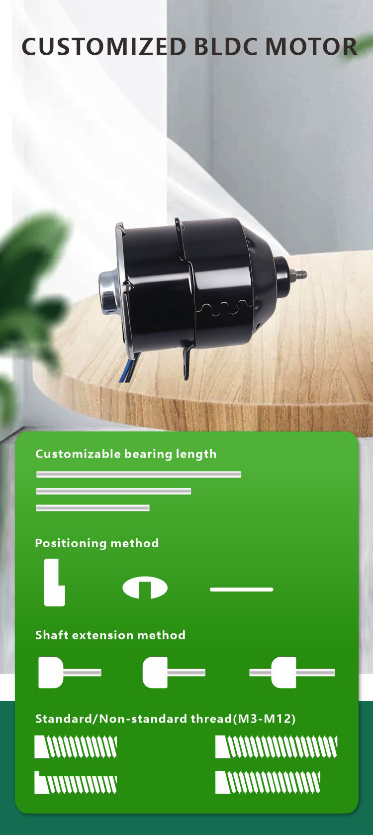 Solar Brush DC Motor Detail 6