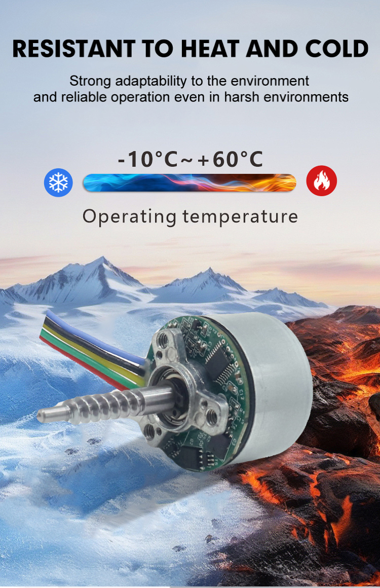 Brushless DC Motor Detail 5