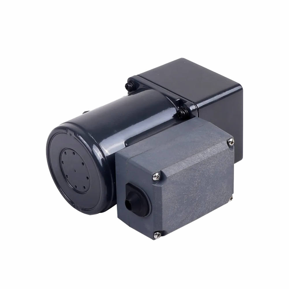 Adjustable Speed Reversible Single Phase AC Gear Motor with High Torque Gearbox for Automatic Packaging Line