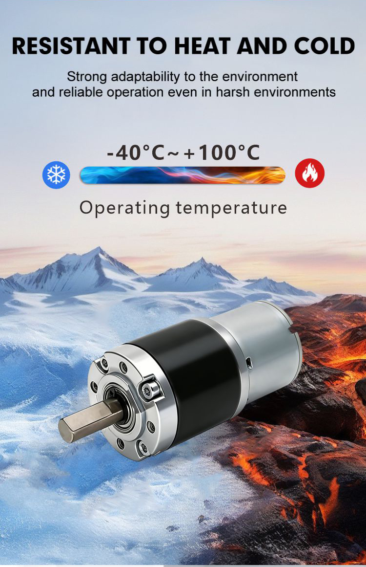 JQPG-36G01 DC Planetary Gear Motor Detail 6