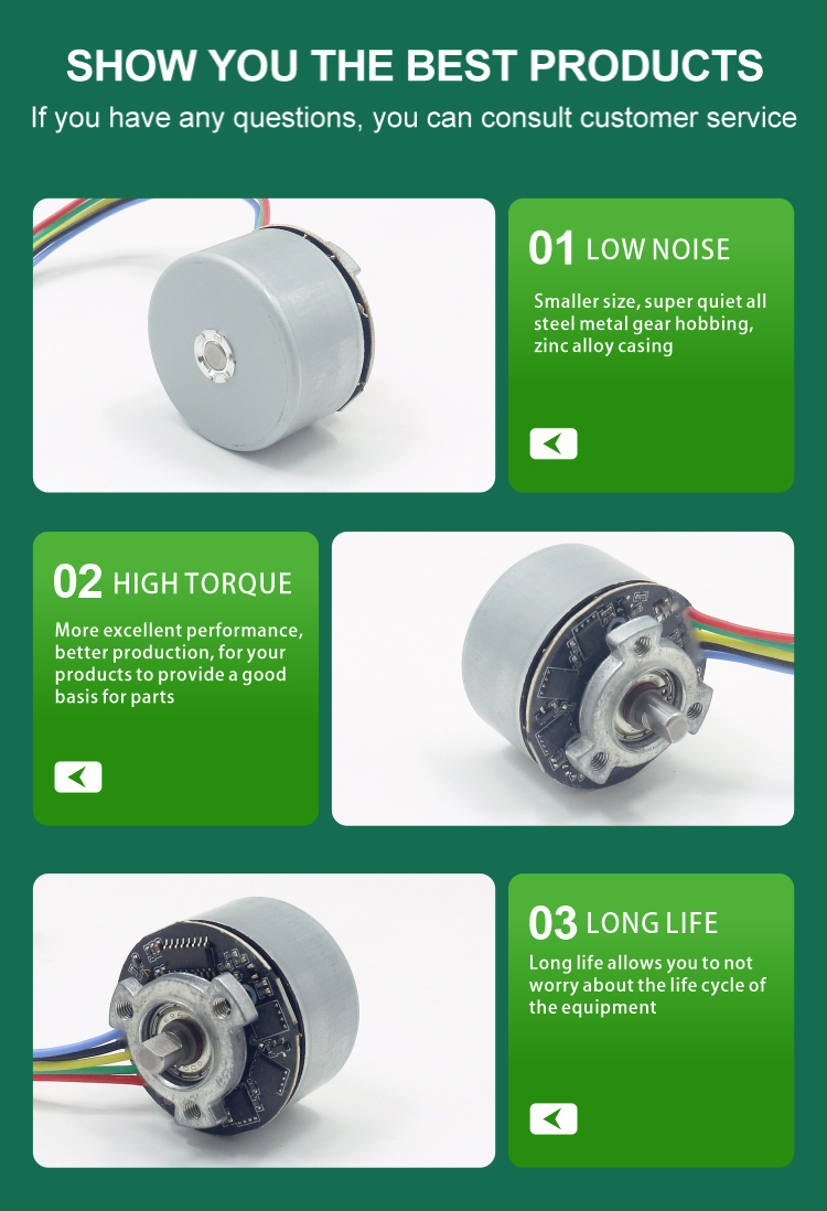 brushless dc motor detail 7