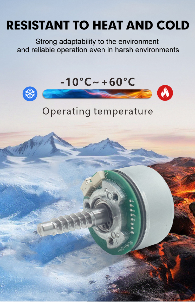 brushless dc motor detail 5