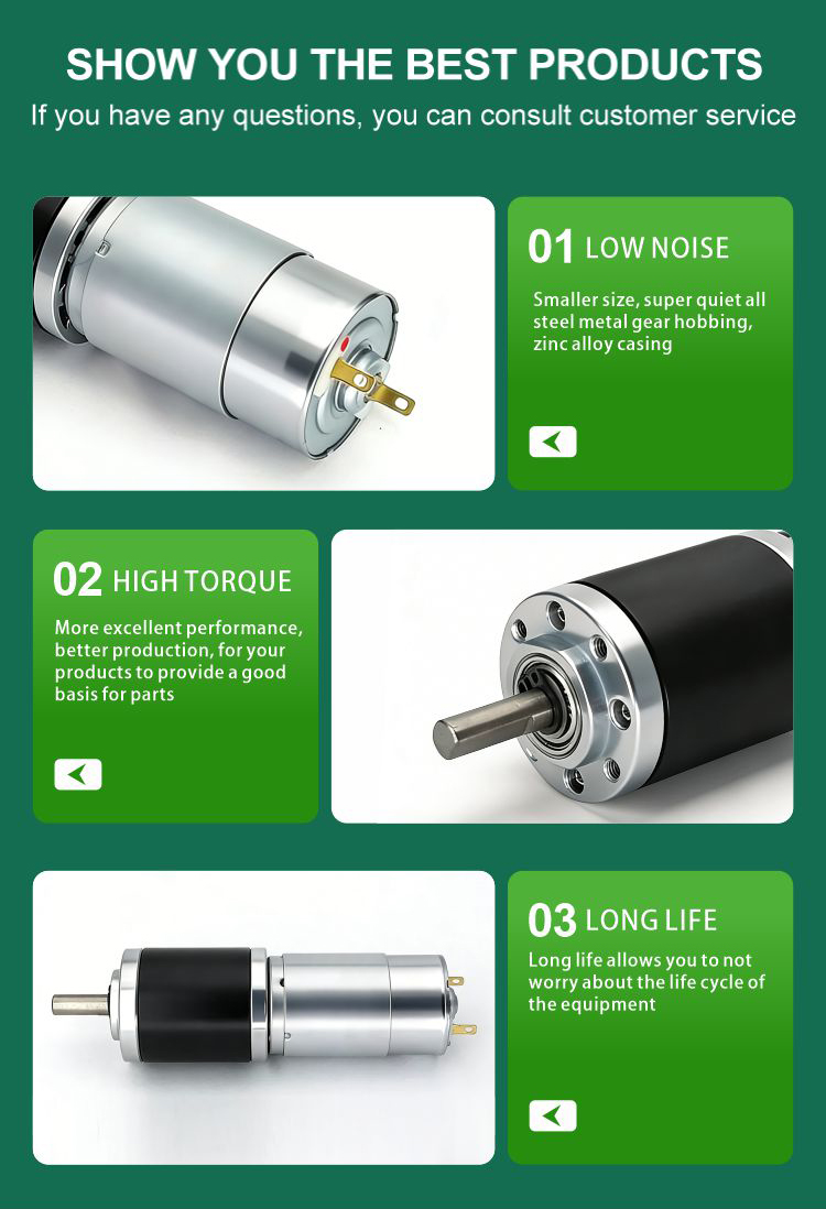 DC Planetary Gear Motor 8