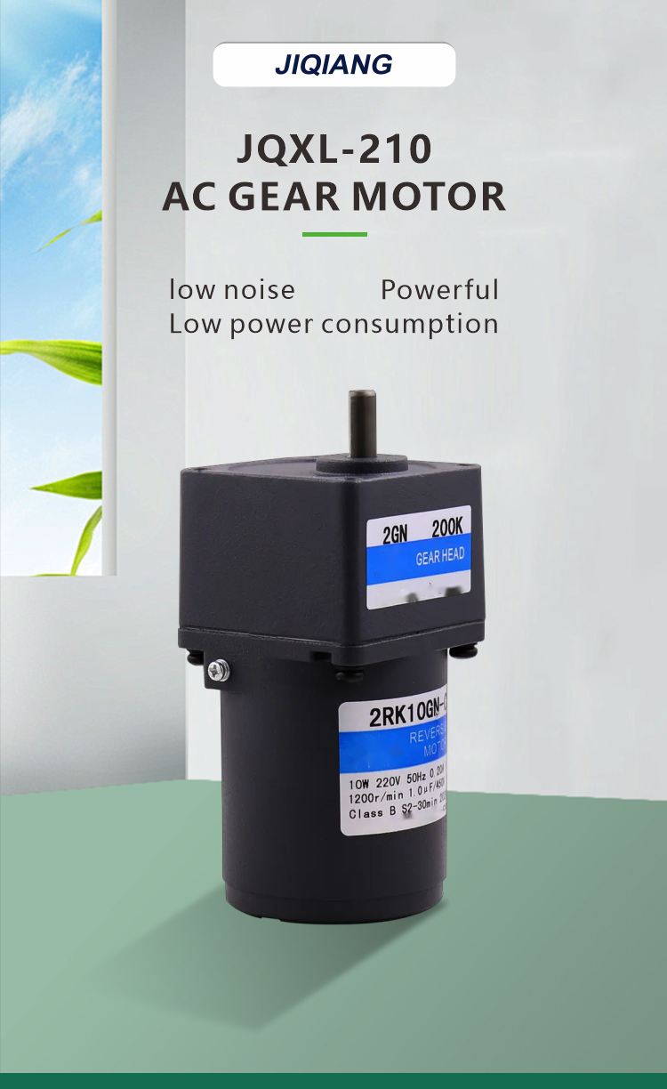 AC Gear Motor Image 1