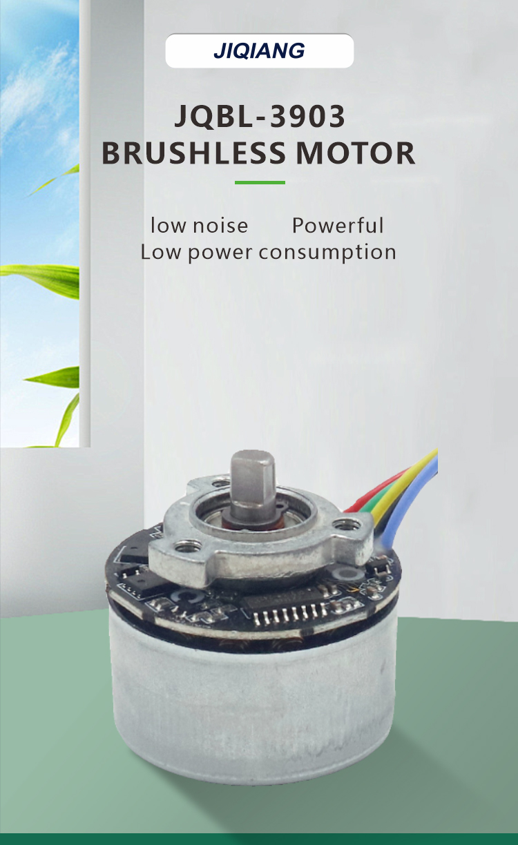 brushless dc motor detail 1