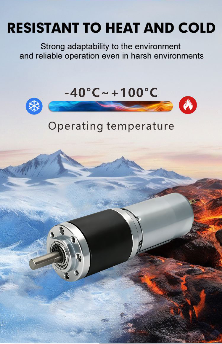 DC Planetary Gear Motor 6