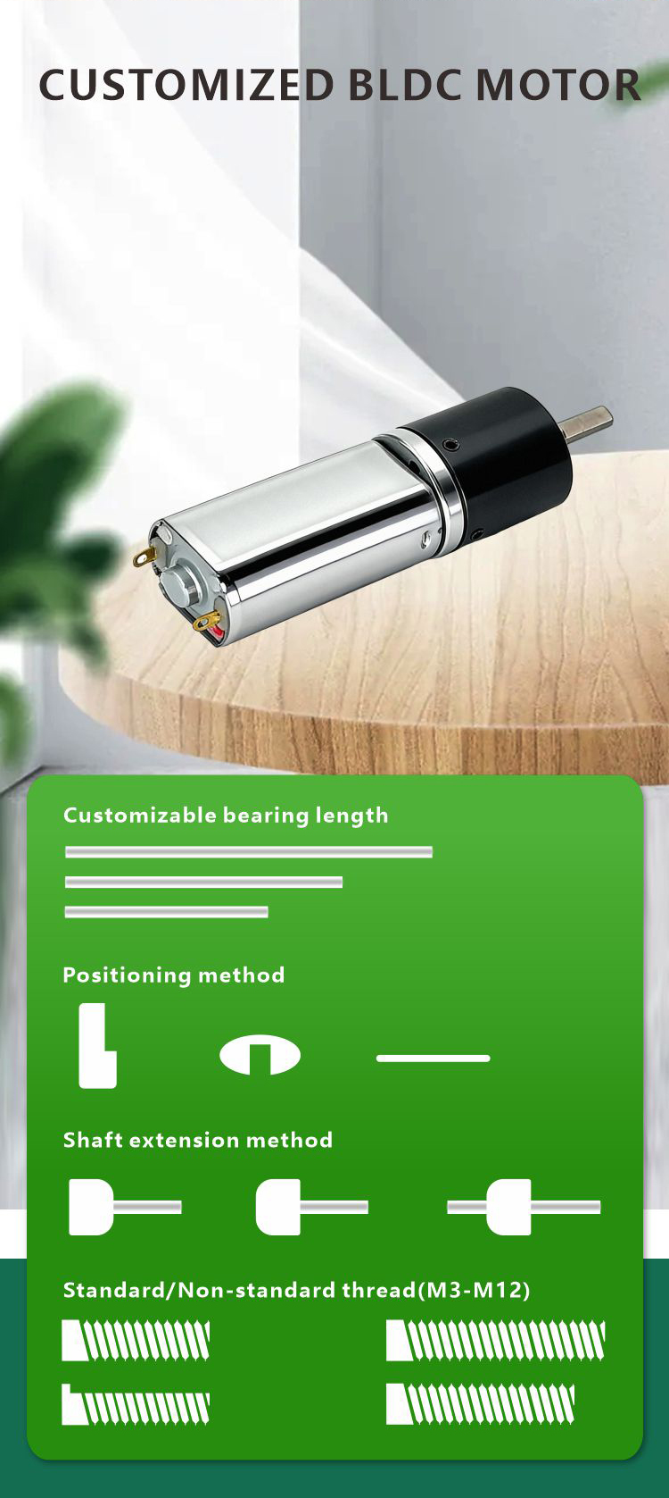 DC Planetary Gear Motor Details 6