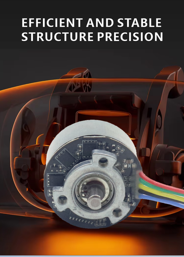 Brushless DC Motor JQBL-3902 View 4
