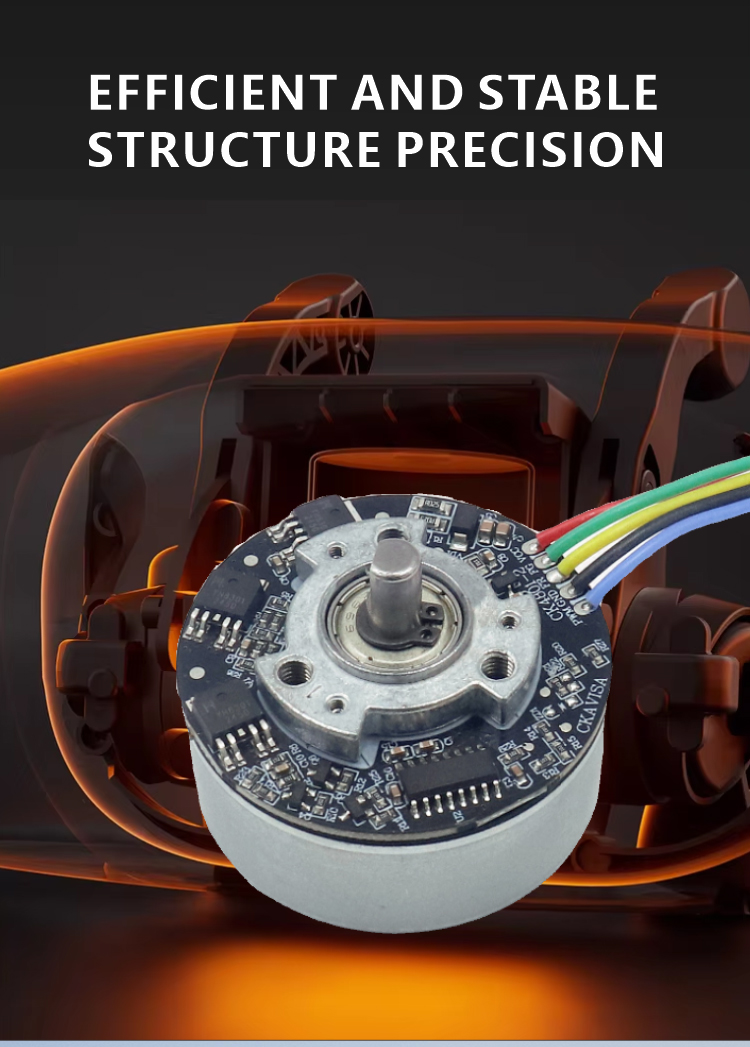 Brushless DC Motor View 4